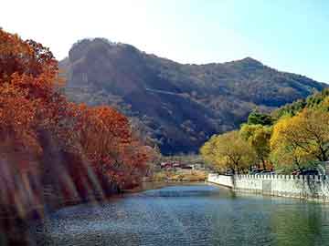 澳门二四六天天彩图库，地盾宝